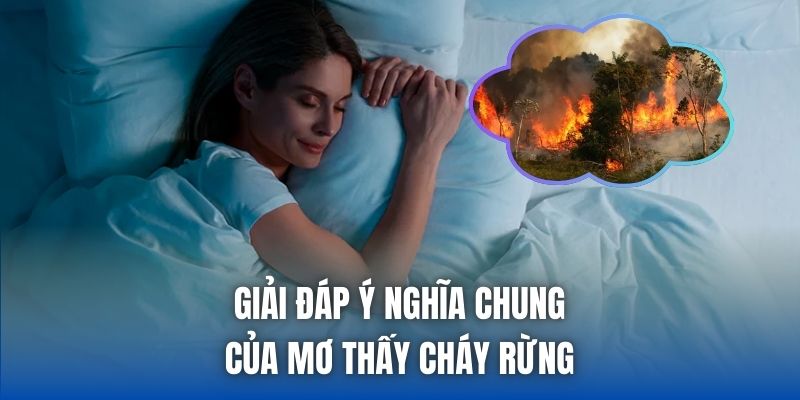 Giải đáp ý nghĩa chung của mơ thấy cháy rừng